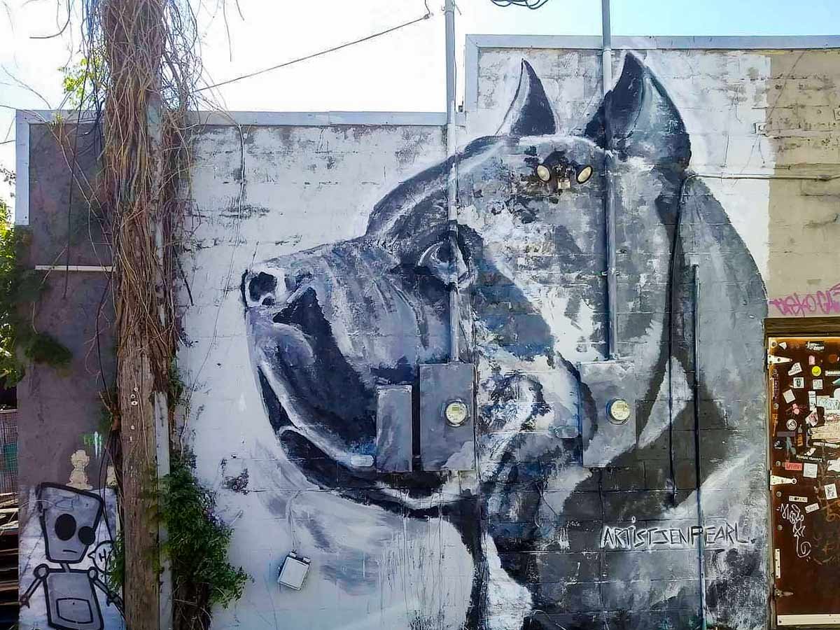 The Neptune Lounge And Cyclery